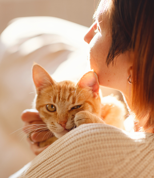 cómo saber si mi gato disfruta los abrazos
